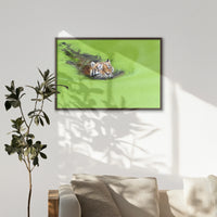 LWN100W070