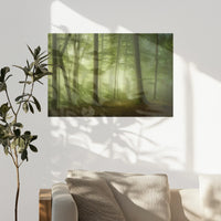 PO-075W050