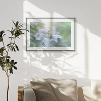 PBP093W062