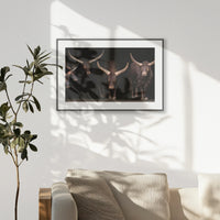PBP093W062