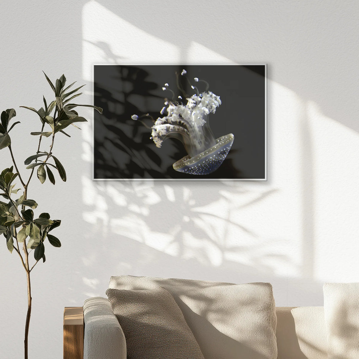 PS-093W062