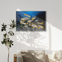 LWW120W080