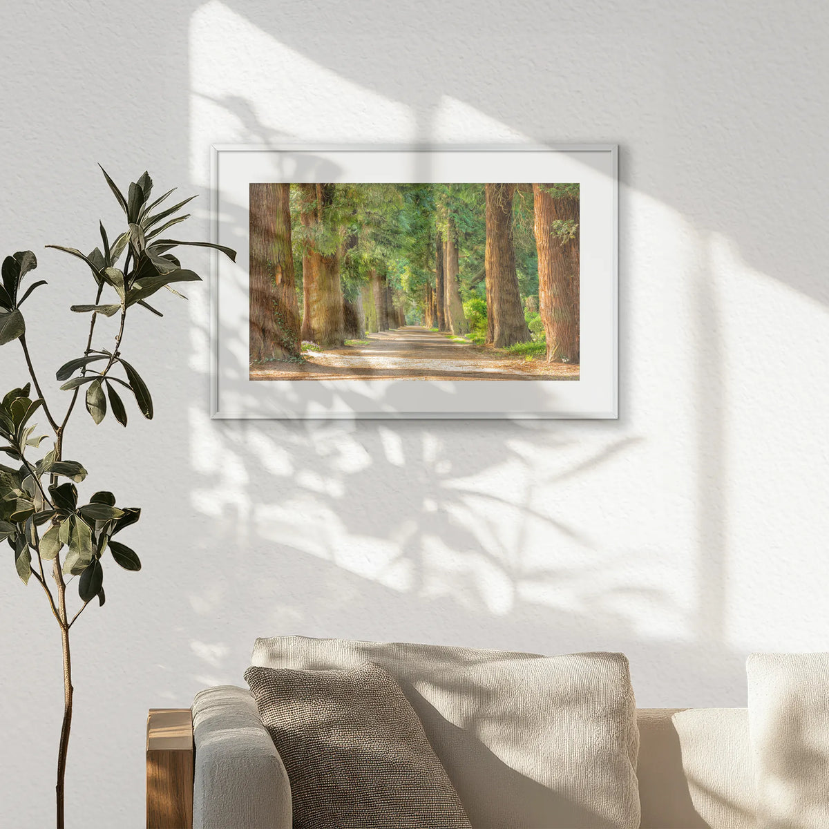 PSP060W040