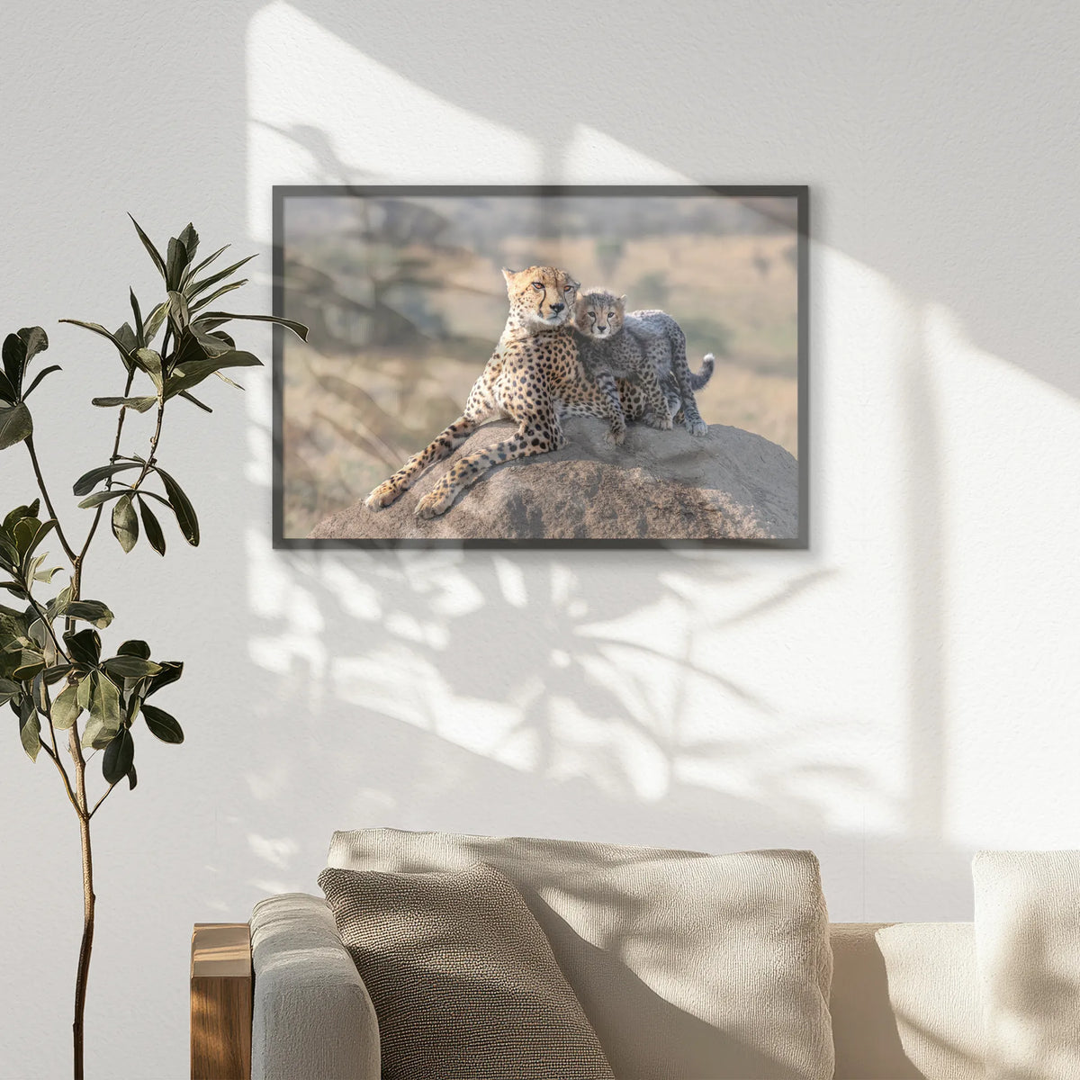 PK-093W062