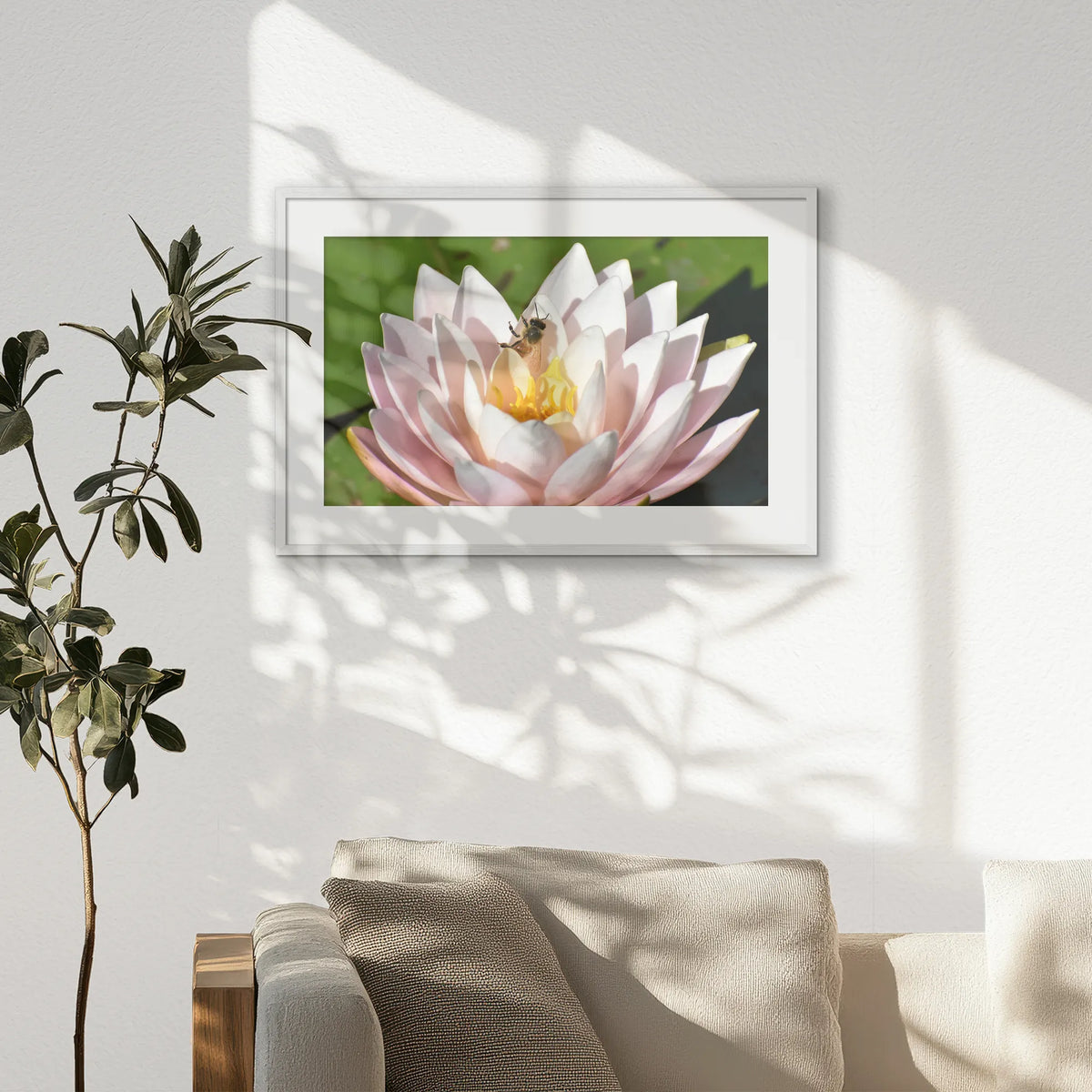PWP093W062