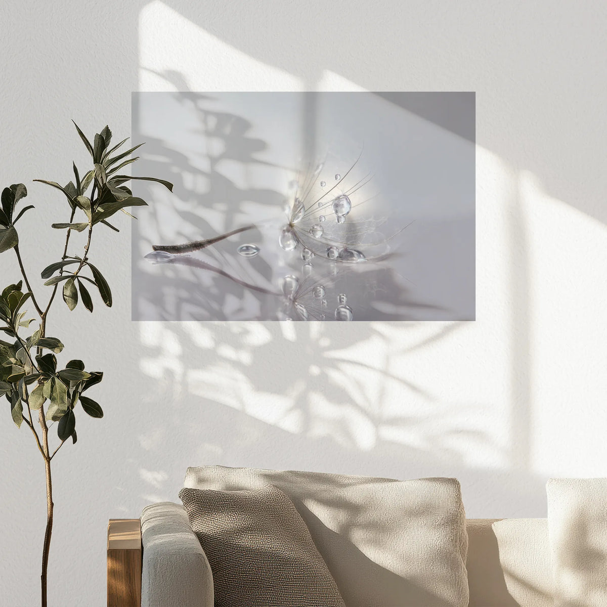 PO-075W050