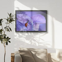 LWB060W040