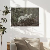 PO-030W020
