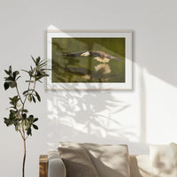 PNP100W070