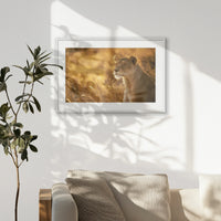 PWP093W062