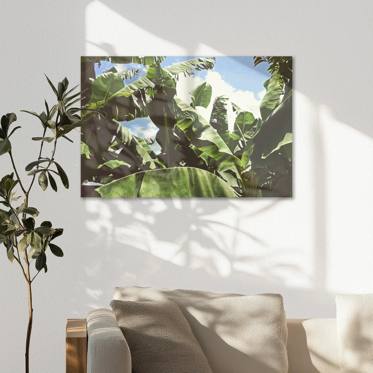 AC-075W050