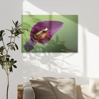 AC-075W050