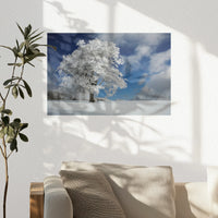 PO-030W020