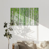 LW-180R120