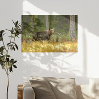 PO-075W050