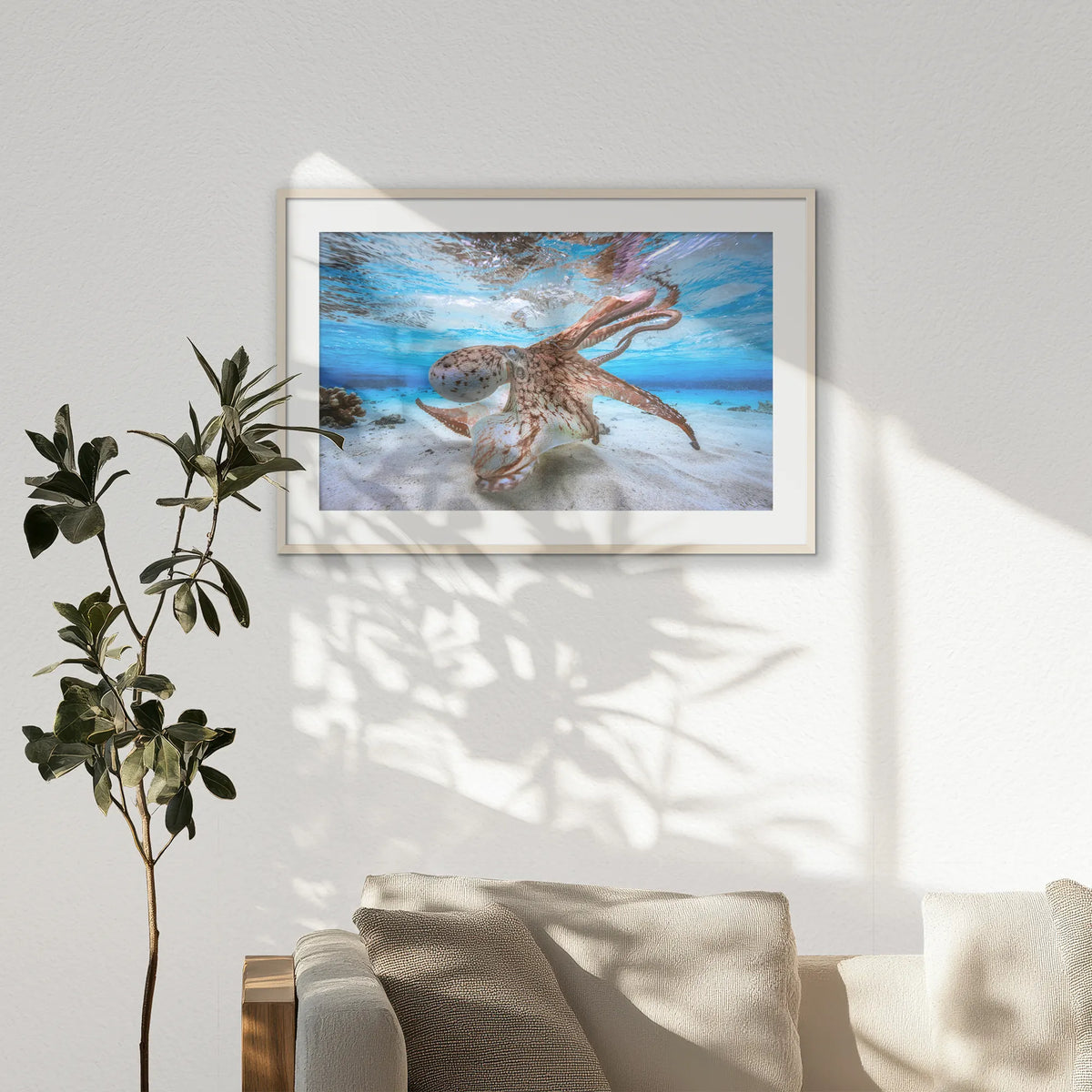 PNP100W070