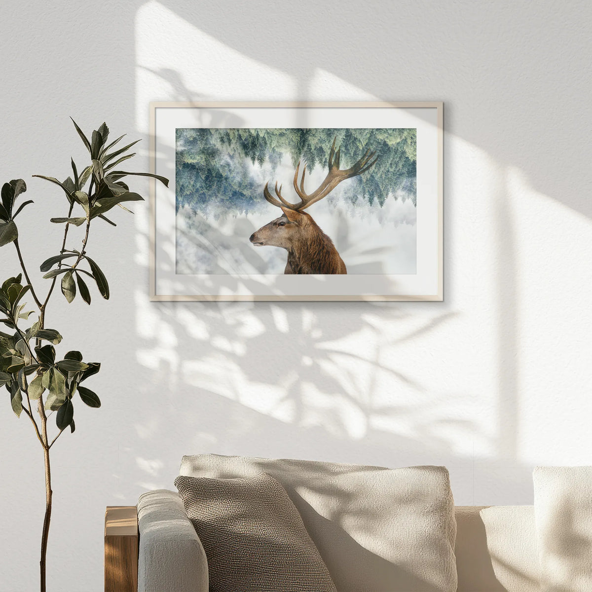 PNP093W062