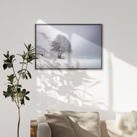 LWN120W080