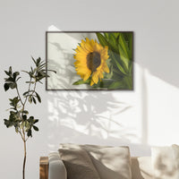 LWN120W080