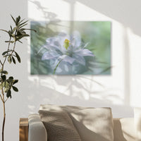 AC-030W020