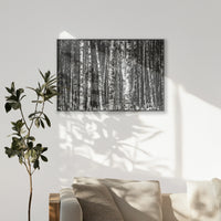 PB-100W070