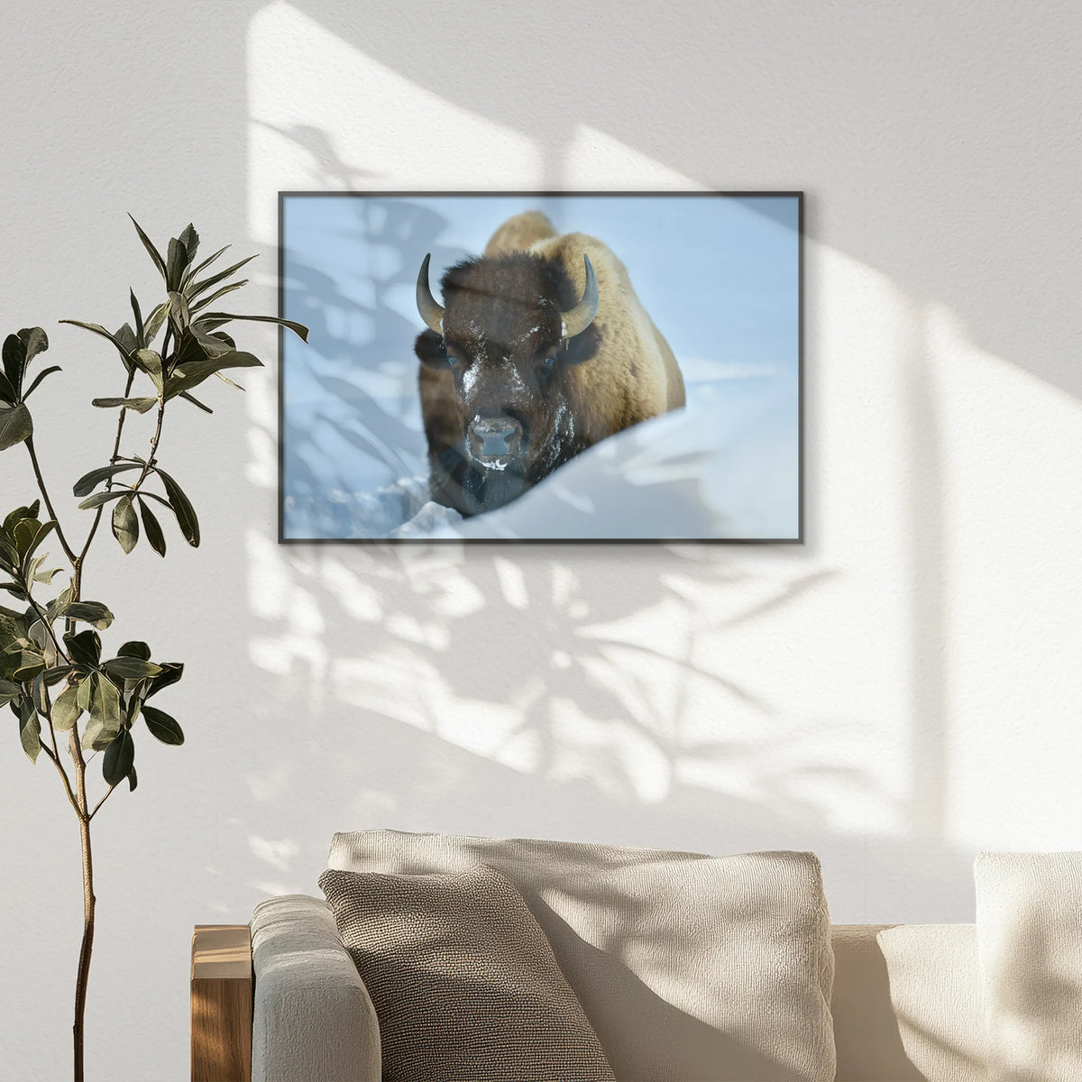 PB-093W062