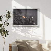 LWW060W040