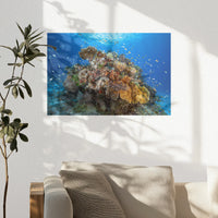 PO-030W020