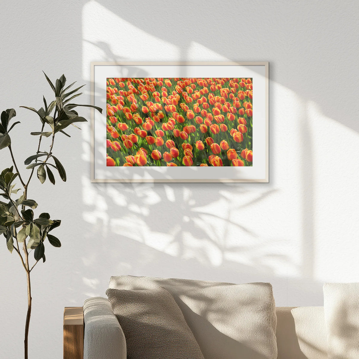 PNP093W062