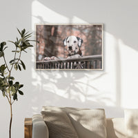 PN-093W062