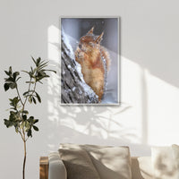 LWW070W100