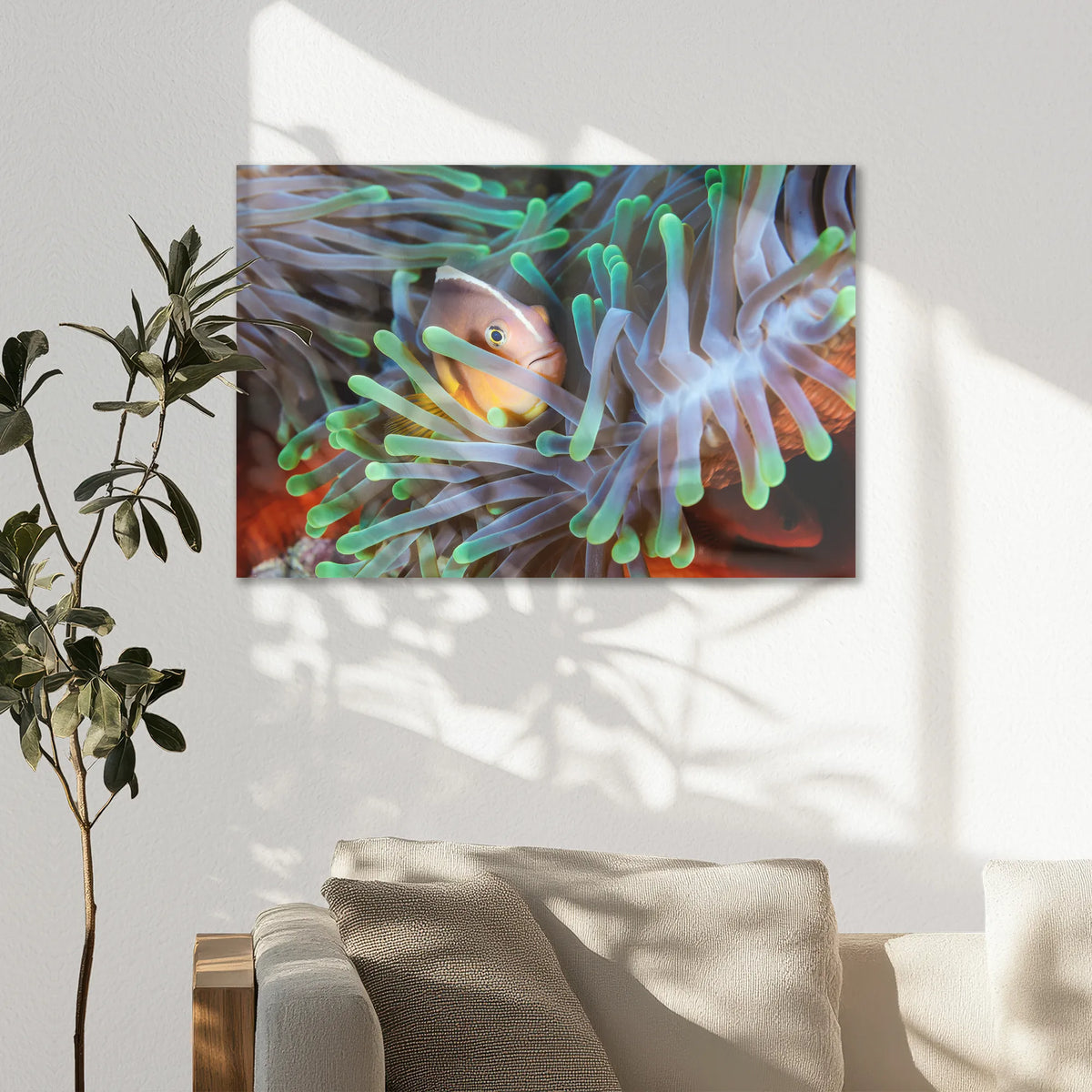 AL-075W050