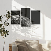 AC-060T040