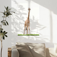 PO-030W045