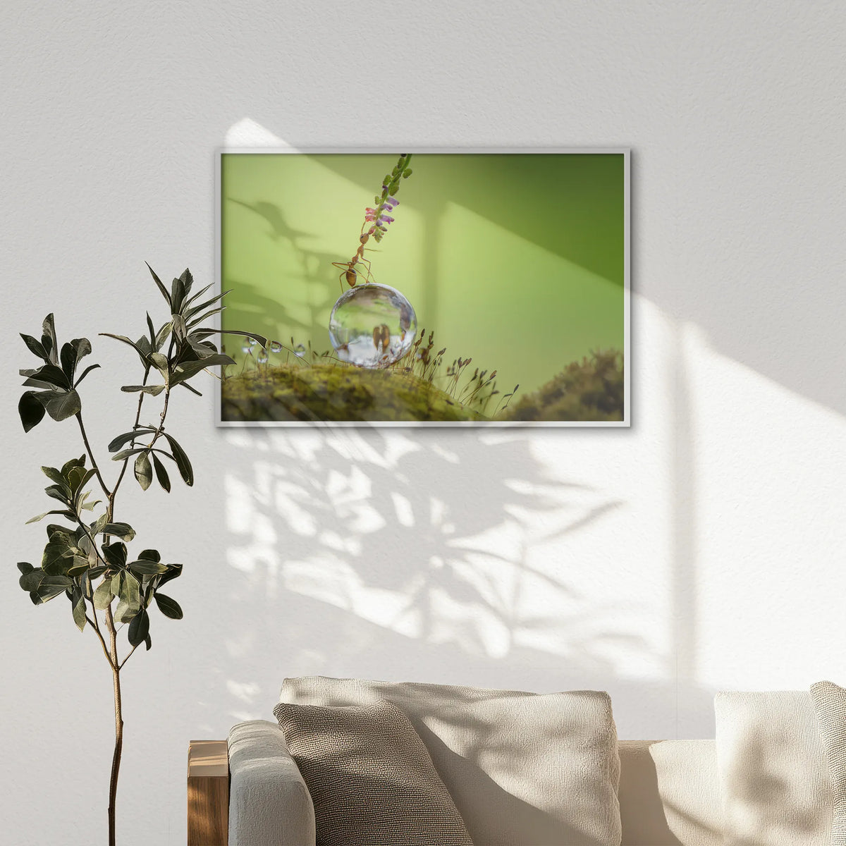 LWW120W080