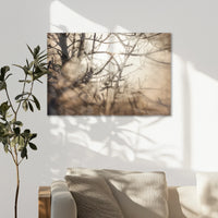 AL-075W050