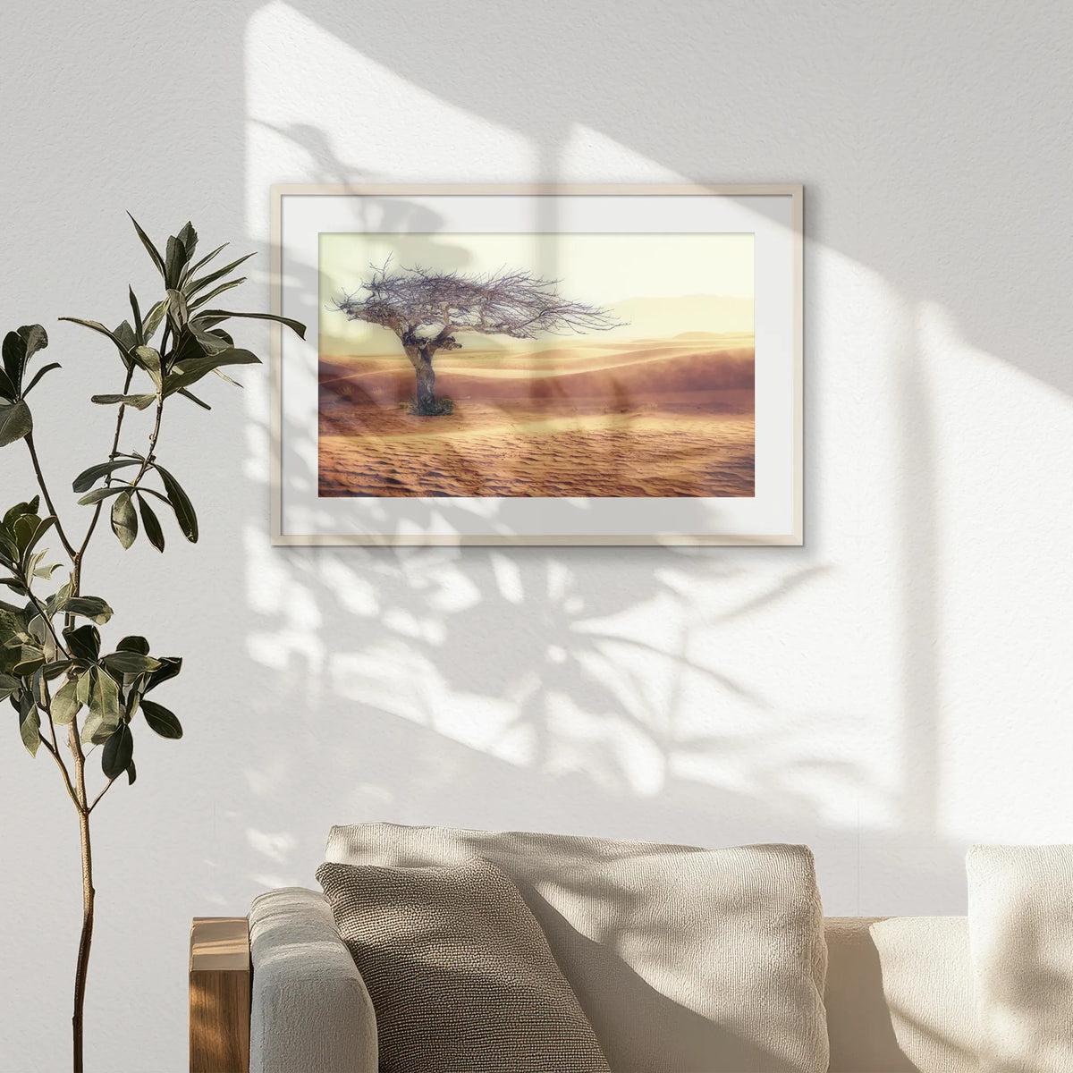 PNP093W062