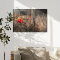 LW-075W050