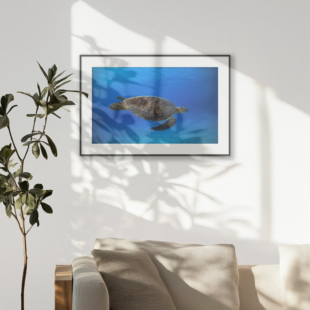 PBP093W062