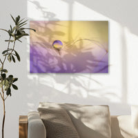 AC-030W020