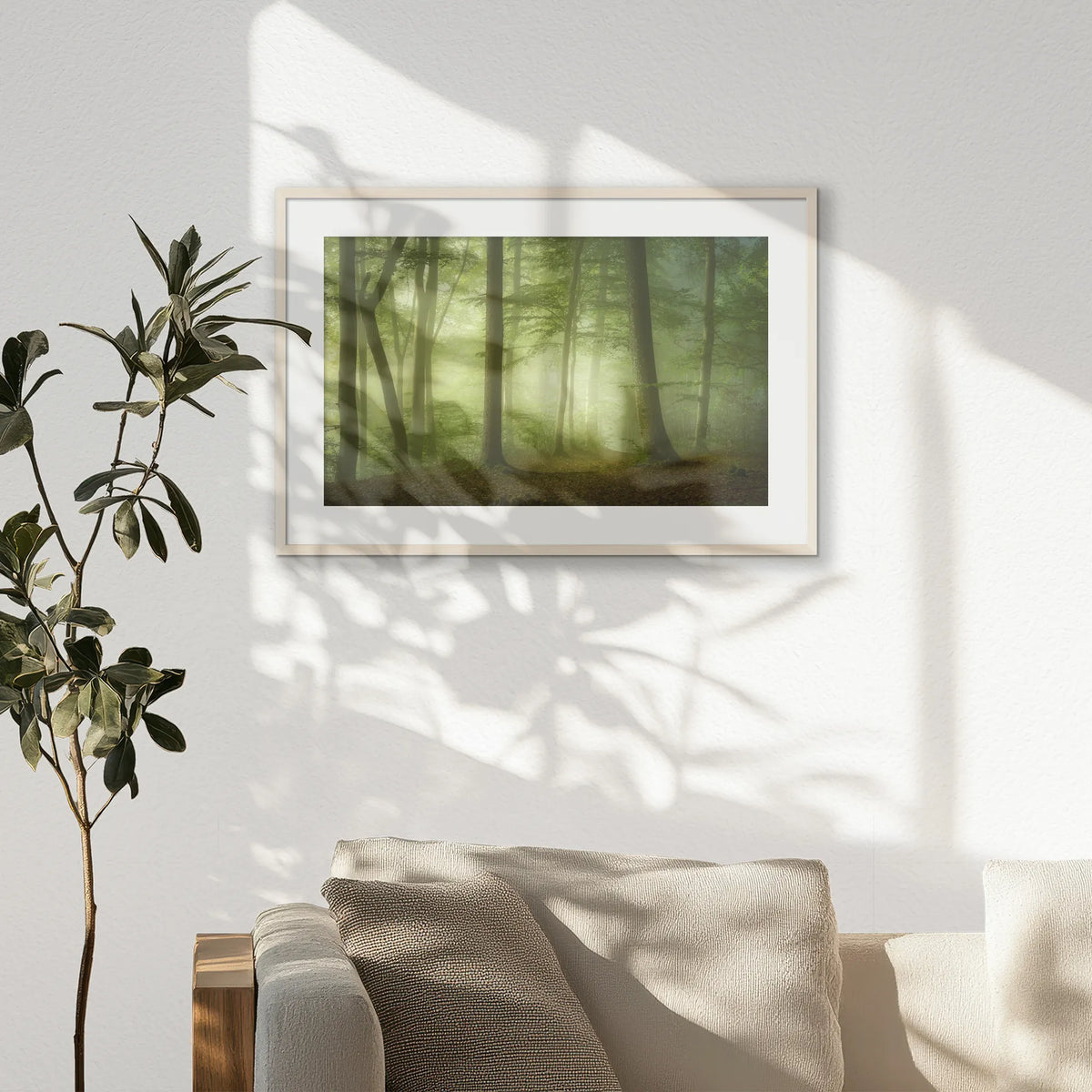 PNP093W062