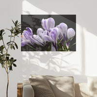 PO-075W050