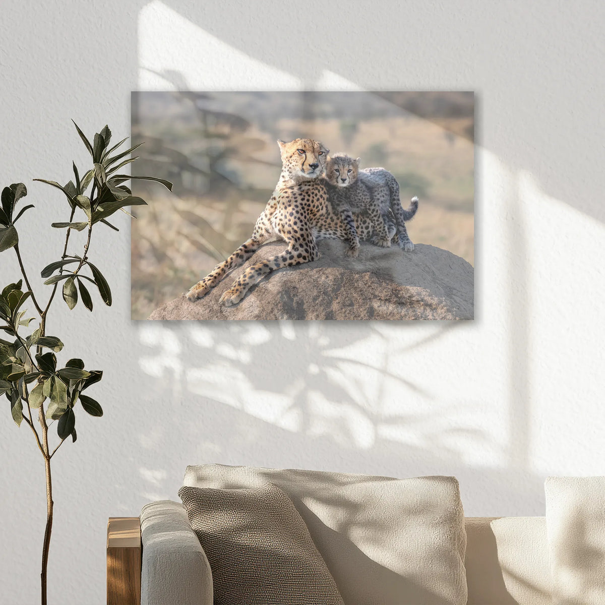 AC-060W040