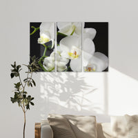 AC-150R100