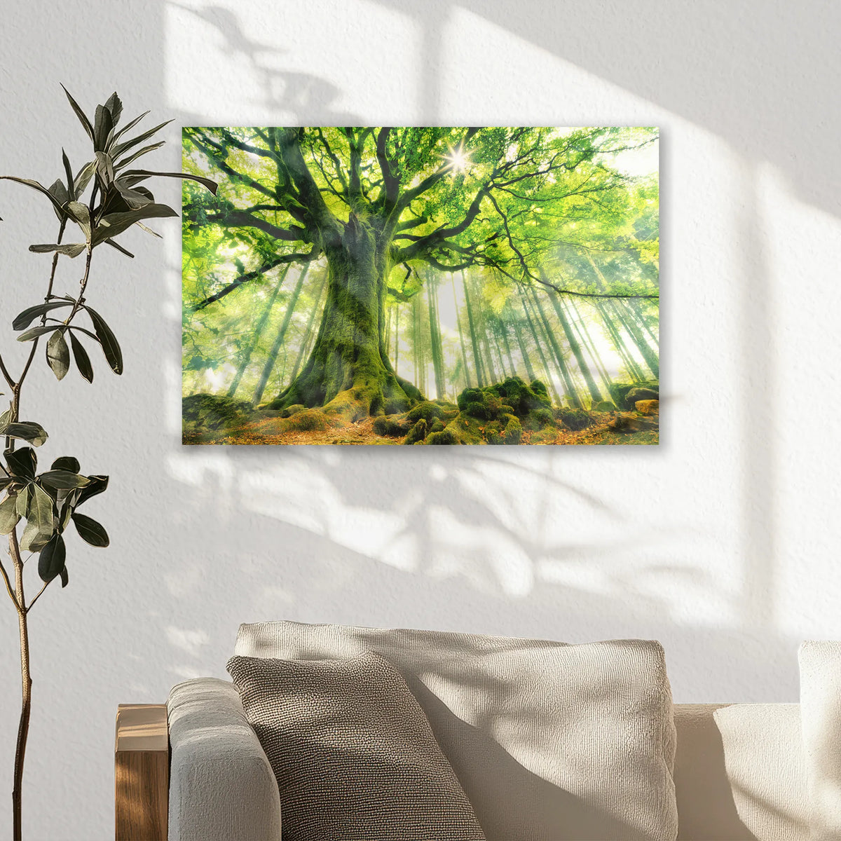 AC-045W030