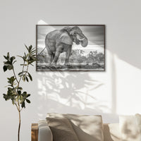 LWN120W080