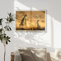 PN-060W040