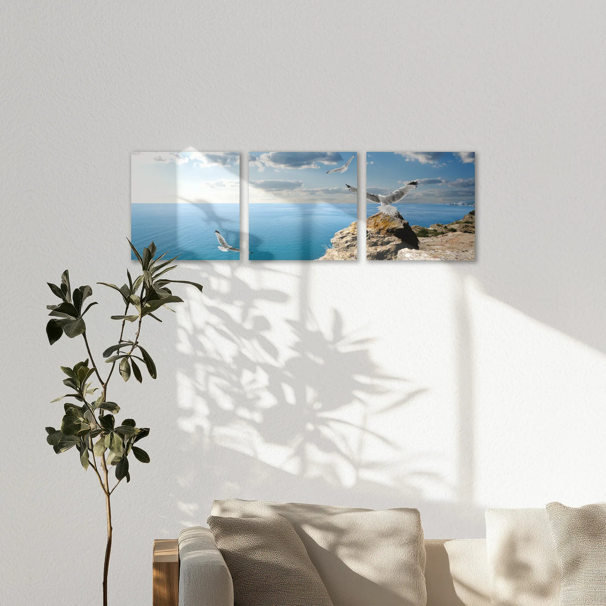 AC-150S050
