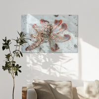 AL-120W080