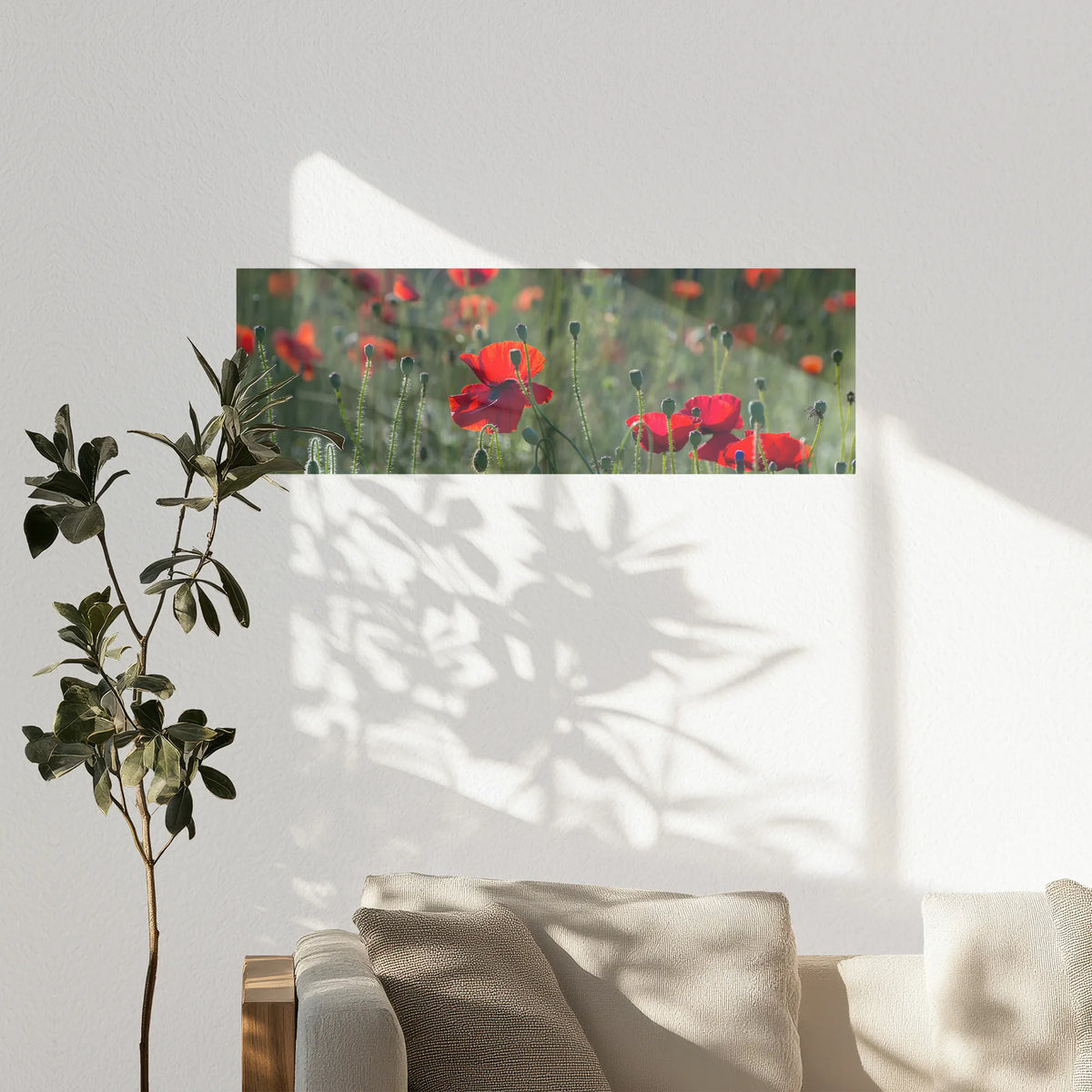 PO-120P040
